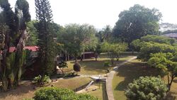 Mimosa Park (D28), Condominium #488243111